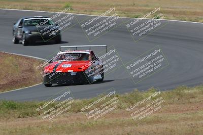 media/May-04-2024-Lucky Dog Racing (Sat) [[d39539b3f3]]/Race Pics/1015am (Turn 2)/